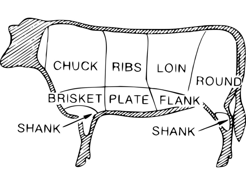 8 Primal Cuts of Beef Butchery Diagram