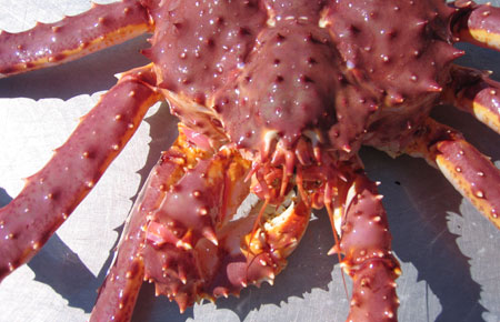 Alaskan Red King Crab