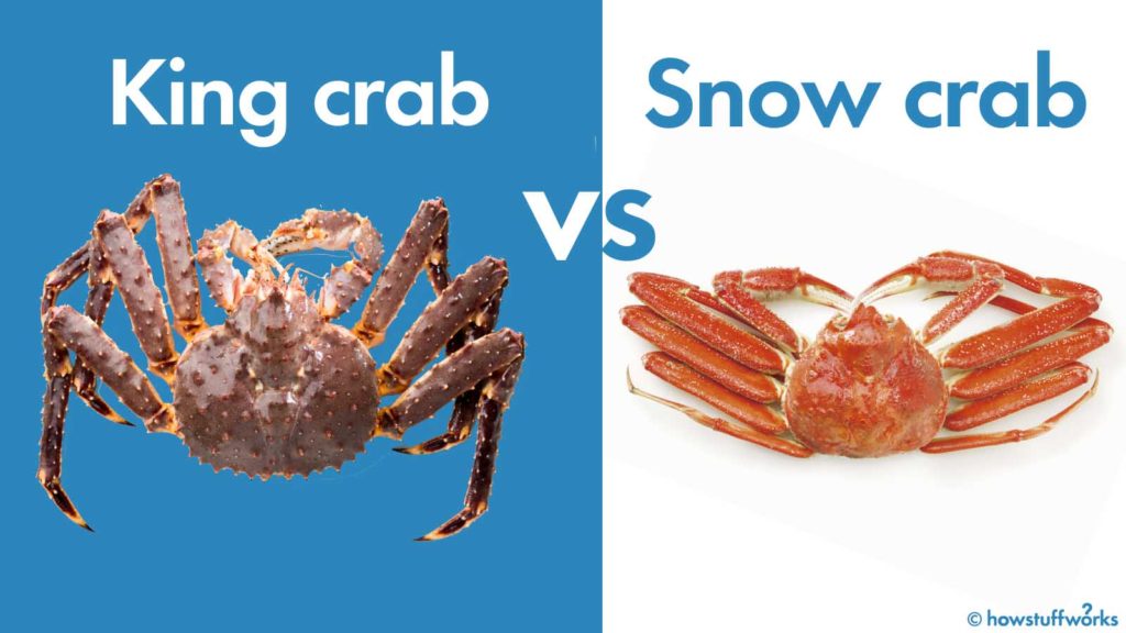 Snow crab vs king crab