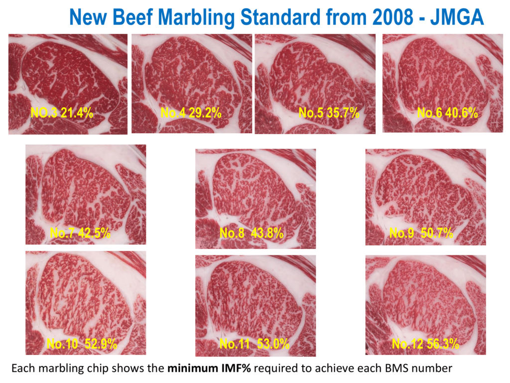 Japanese Wagyu Beef Marbling Standard