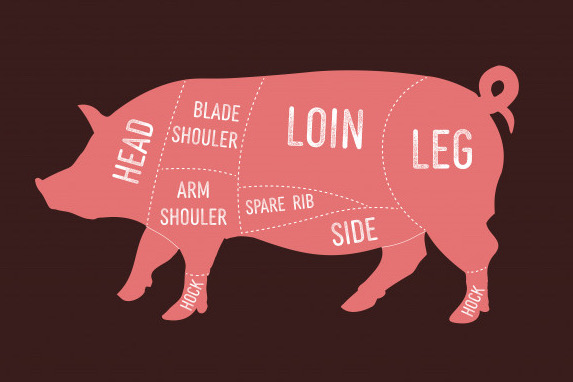 pork cuts american diagram primal chart