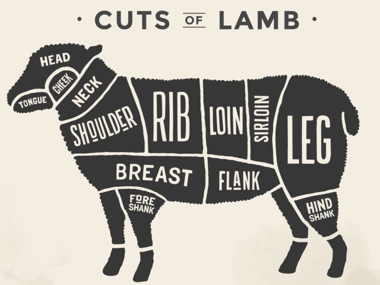 Lamb cuts chart diagram