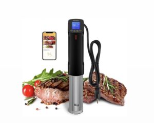 Inkbird Sous Vide Precision Cooker WiFi ISV-100W review product photo front view