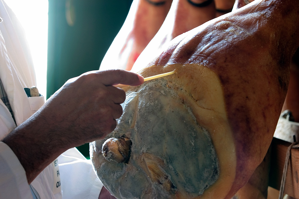 Prosciutto di Parma Ham Production inspecting with a horse bone needle