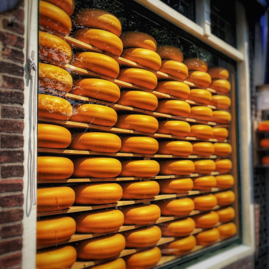 many cheese wheels storing and aging on shelves at the cellar of the cheesemaker shop