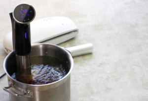 best sous vide cooker immersion circulator