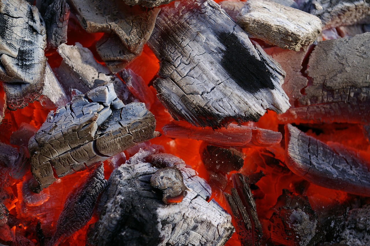 Hardwood lump charcoal starts to be covered with gray ash